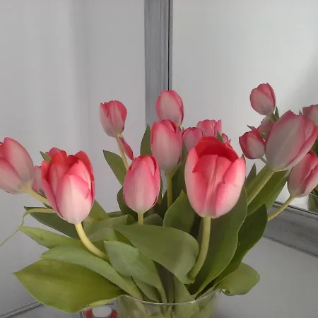 Kiklamino Sunset מלון דירות