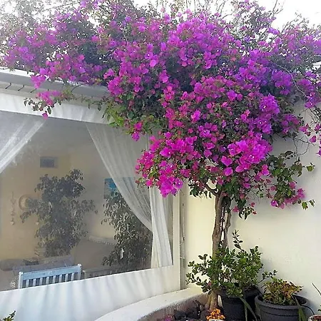 Apart-hotel Kiklamino Sunset 4*