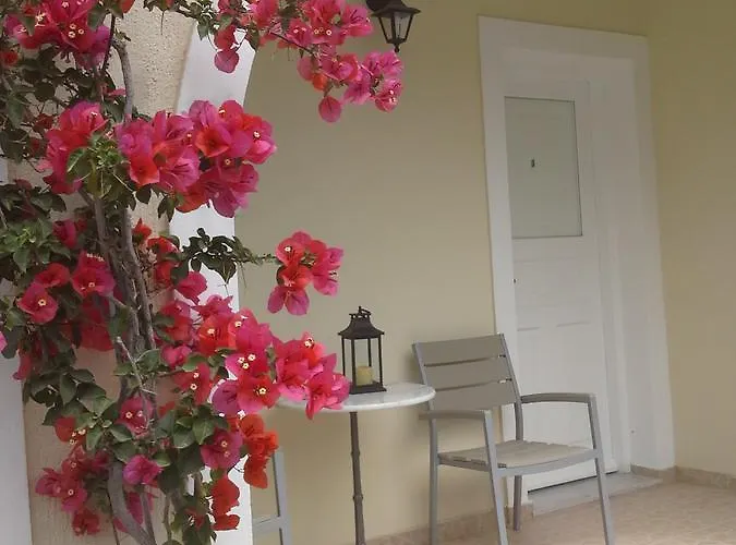 Διαμερίσματα και Στούντιο Κυκλάμινο