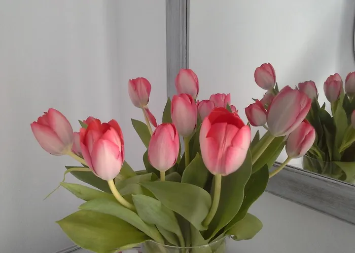 Kiklamino Sunset شقة فندقية