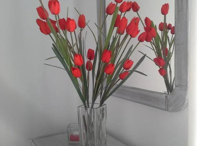 Kiklamino Sunset 公寓式酒店 4*