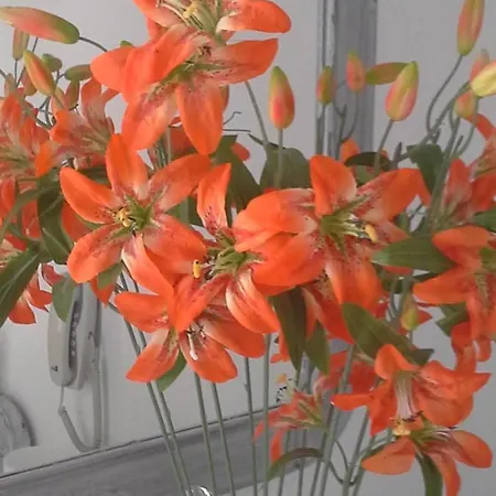 Aparthotel Kiklamino Sunset